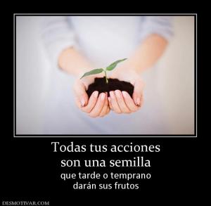 Todas tus acciones son una semilla que tarde o temprano darán sus frutos