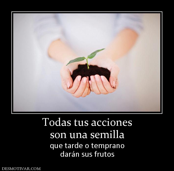 Todas tus acciones son una semilla que tarde o temprano darán sus frutos