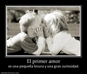 El primer amor es una pequeña locura y una gran curiosidad.