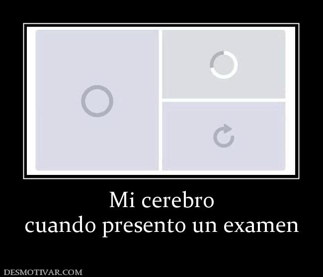 Mi cerebro cuando presento un examen