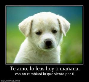 Te amo, lo leas hoy o mañana, eso no cambiará lo que siento por ti
