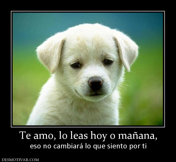 Te amo, lo leas hoy o mañana, eso no cambiará lo que siento por ti