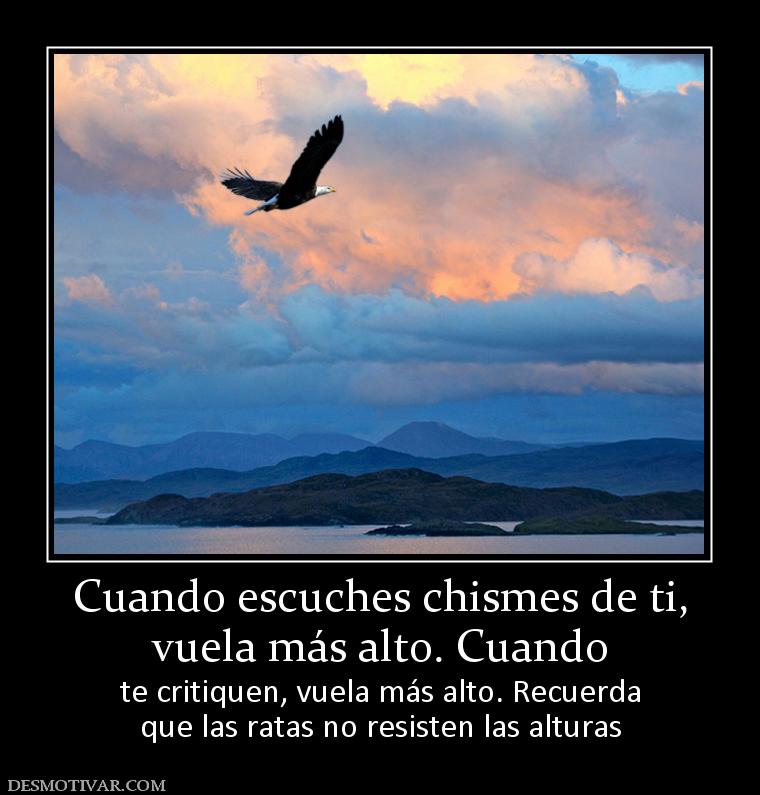 Cuando escuches chismes de ti, vuela más alto. Cuando te critiquen, vuela más alto. Recuerda que las ratas no resisten las alturas