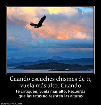 Cuando escuches chismes de ti, vuela más alto. Cuando te critiquen, vuela más alto. Recuerda que las ratas no resisten las alturas