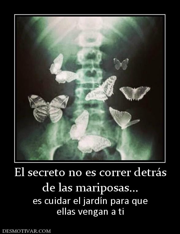 El secreto no es correr detrás de las mariposas... es cuidar el jardín para que ellas vengan a ti