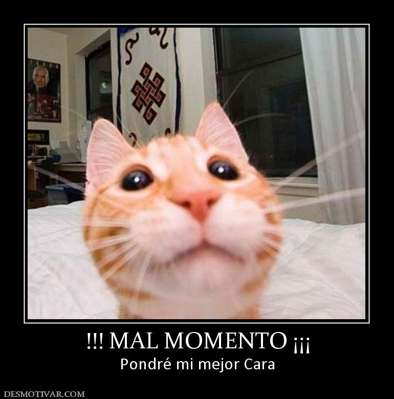 !!! MAL MOMENTO ¡¡¡ Pondré mi mejor Cara