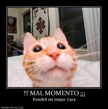 !!! MAL MOMENTO ¡¡¡ Pondré mi mejor Cara