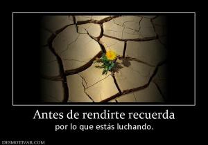 Antes de rendirte recuerda por lo que estás luchando.