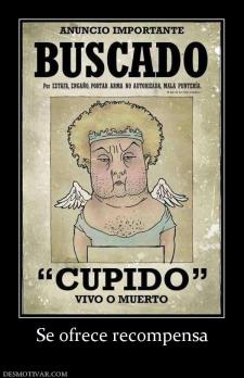 Se ofrece recompensa