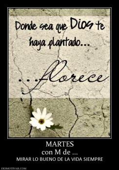 MARTES con M de ... MIRAR LO BUENO DE LA VIDA SIEMPRE