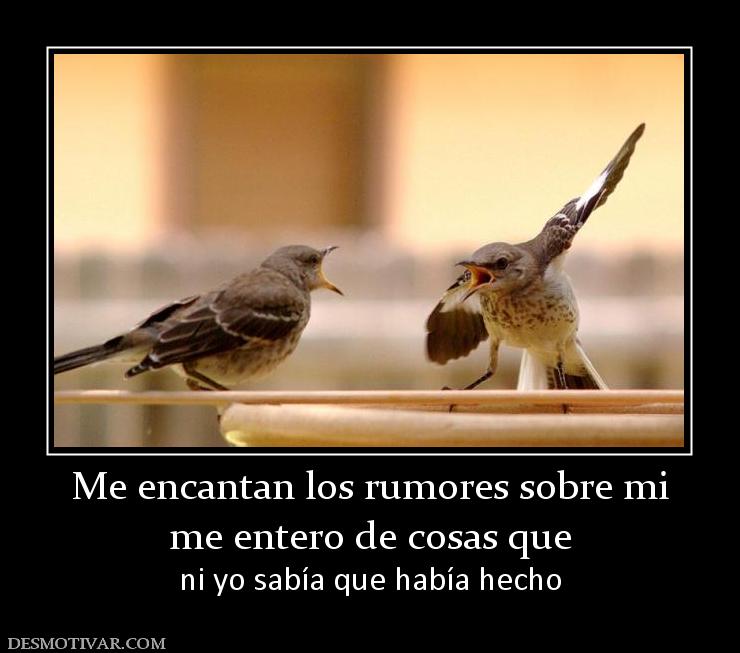 Me encantan los rumores sobre mi me entero de cosas que ni yo sabía que había hecho