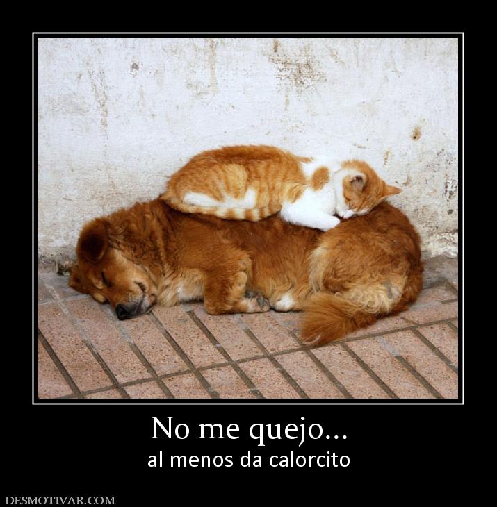 No me quejo... al menos da calorcito