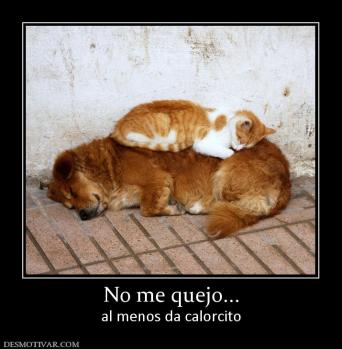 No me quejo... al menos da calorcito