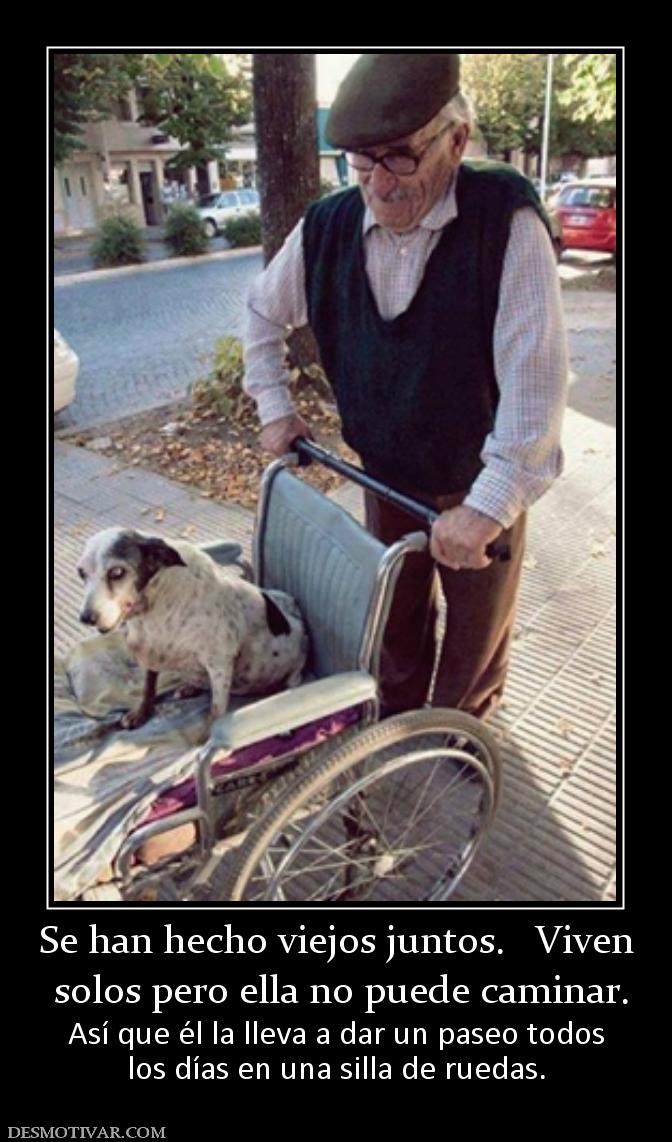 Se han hecho viejos juntos.   Viven  solos pero ella no puede caminar.  Así que él la lleva a dar un paseo todos los días en una silla de ruedas.
