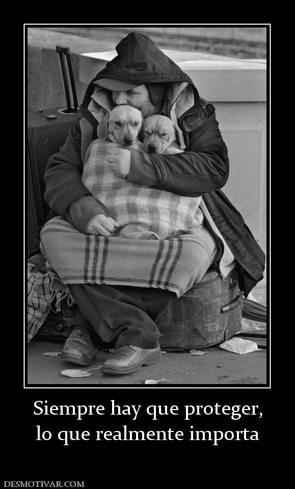 Siempre hay que proteger, lo que realmente importa