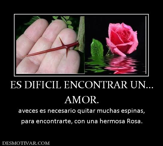 ES DIFICIL ENCONTRAR UN... AMOR. aveces es necesario quitar muchas espinas, para encontrarte, con una hermosa Rosa.