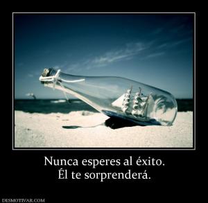 Nunca esperes al éxito. Él te sorprenderá.
