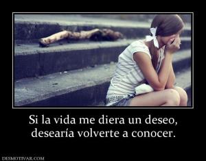 Si la vida me diera un deseo, desearía volverte a conocer.