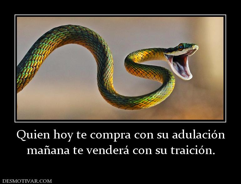 Quien hoy te compra con su adulación mañana te venderá con su traición.