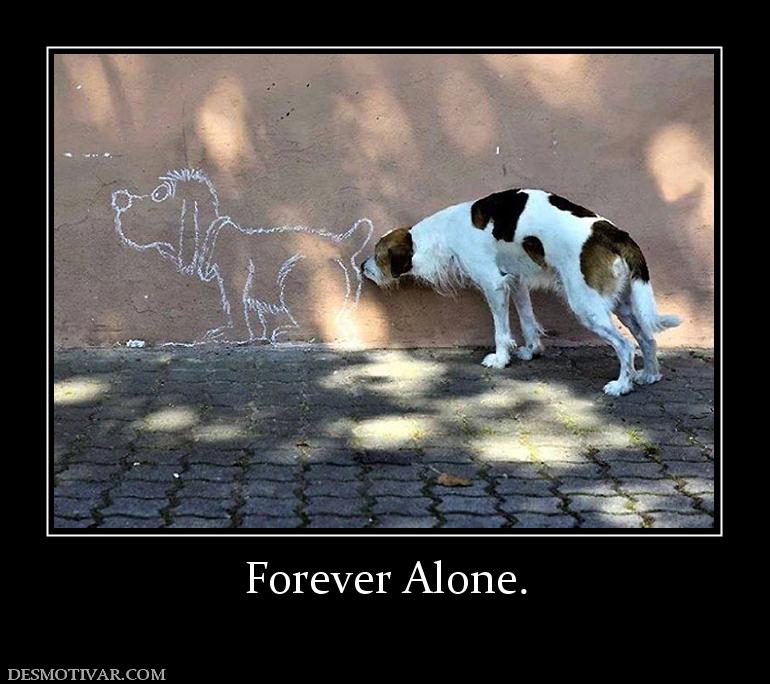 Forever Alone.