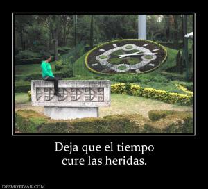 Deja que el tiempo cure las heridas.
