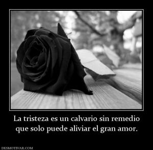 La tristeza es un calvario sin remedio que solo puede aliviar el gran amor.