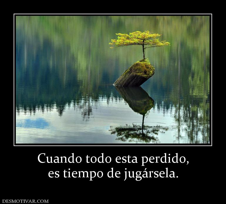Cuando todo esta perdido, es tiempo de jugársela.