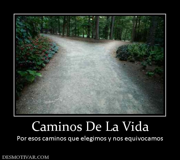 Caminos De La Vida Por esos caminos que elegimos y nos equivocamos