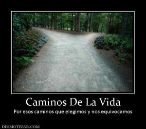 Caminos De La Vida Por esos caminos que elegimos y nos equivocamos