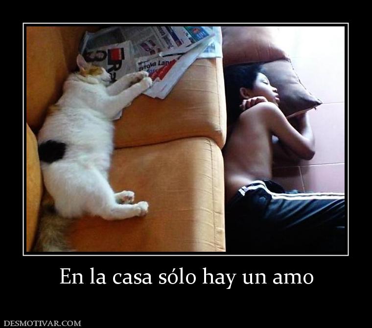 En la casa sólo hay un amo