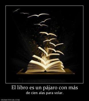 El libro es un pájaro con más de cien alas para volar.