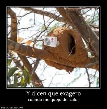 Y dicen que exagero cuando me quejo del calor