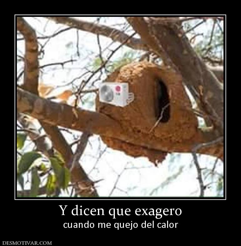 Y dicen que exagero cuando me quejo del calor