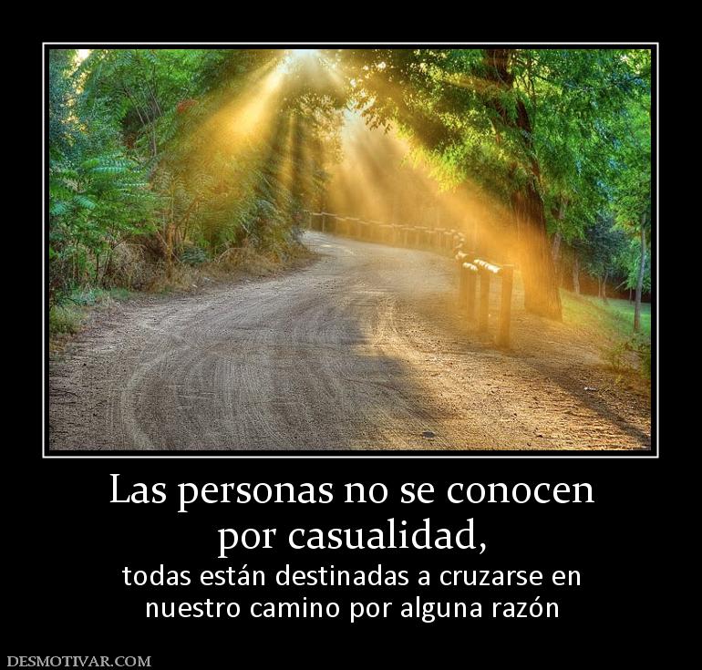 Las personas no se conocen por casualidad,  todas están destinadas a cruzarse en nuestro camino por alguna razón