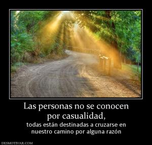 Las personas no se conocen por casualidad,  todas están destinadas a cruzarse en nuestro camino por alguna razón