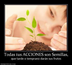 Todas tus ACCIONES son Semillas, que tarde o temprano darán sus frutos
