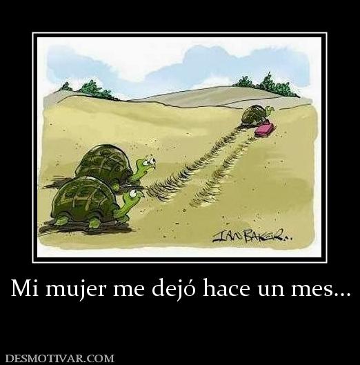 Mi mujer me dejó hace un mes...