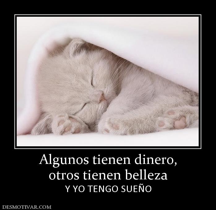 Algunos tienen dinero, otros tienen belleza Y YO TENGO SUEÑO