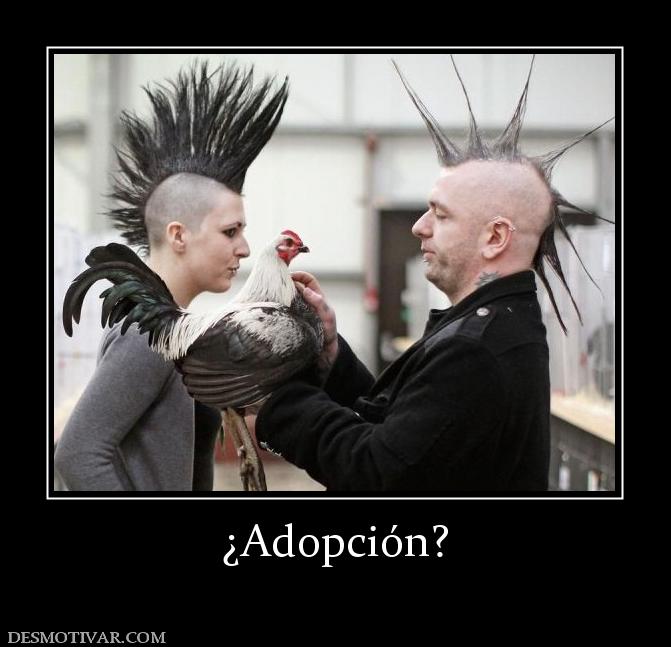 ¿Adopción?