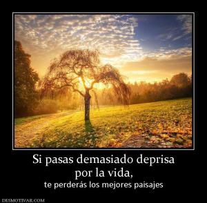 Si pasas demasiado deprisa por la vida, te perderás los mejores paisajes