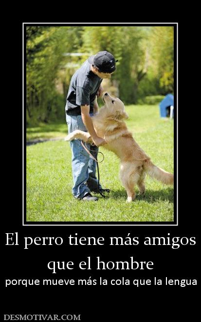El perro tiene más amigos que el hombre porque mueve más la cola que la lengua