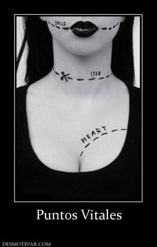 Puntos Vitales