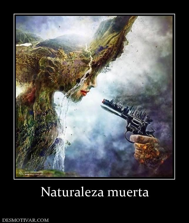 Naturaleza muerta