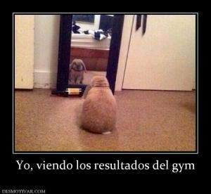 Yo, viendo los resultados del gym