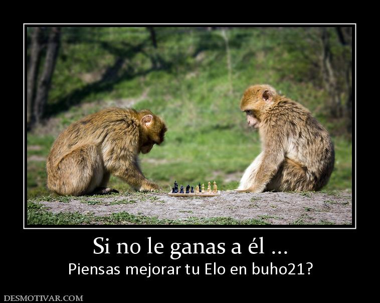 Si no le ganas a él ... Piensas mejorar tu Elo en buho21?
