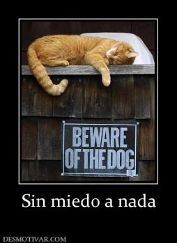 Sin miedo a nada