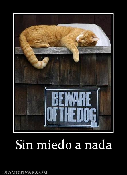 Sin miedo a nada
