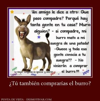 ¿Tú también comprarías el burro?