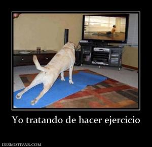 Yo tratando de hacer ejercicio