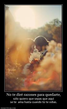 No te diré razones para quedarte, sólo quiero que sepas que aquí se te  ama hasta cuando tú te odias.